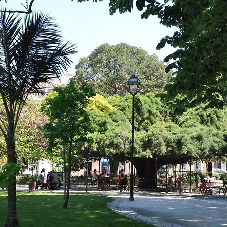 Bl Bairro Alto Famous Bica Funicular Street View * Lisbon