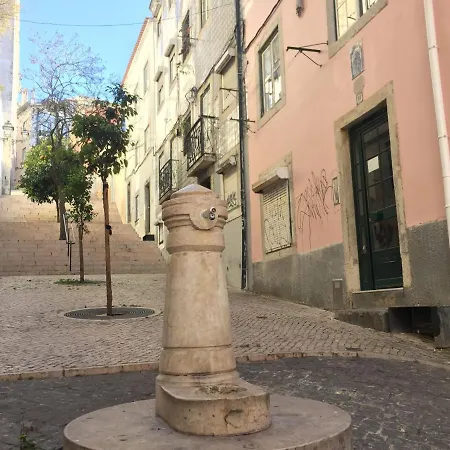 Bl Bairro Alto Famous Bica Funicular Street View Lisbon
